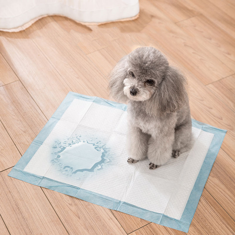Large Wee Wee Pads Heavy Duty Dog Puppy Training Pad Floor Toilet Mats