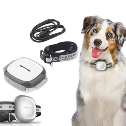 Collared Cat Dog Tracker Pet Locator Pet