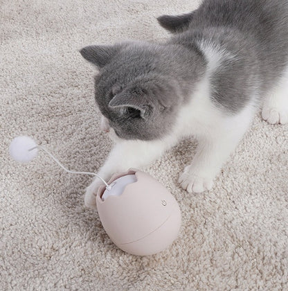 Funny cat artifact cat toys